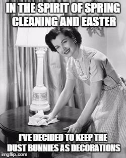 lady cleaning