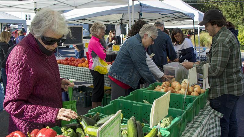 Seniors buying fresh vegetables at a farmers market